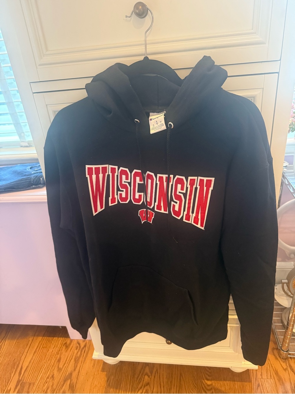 Champion Wisconsin Hoodie